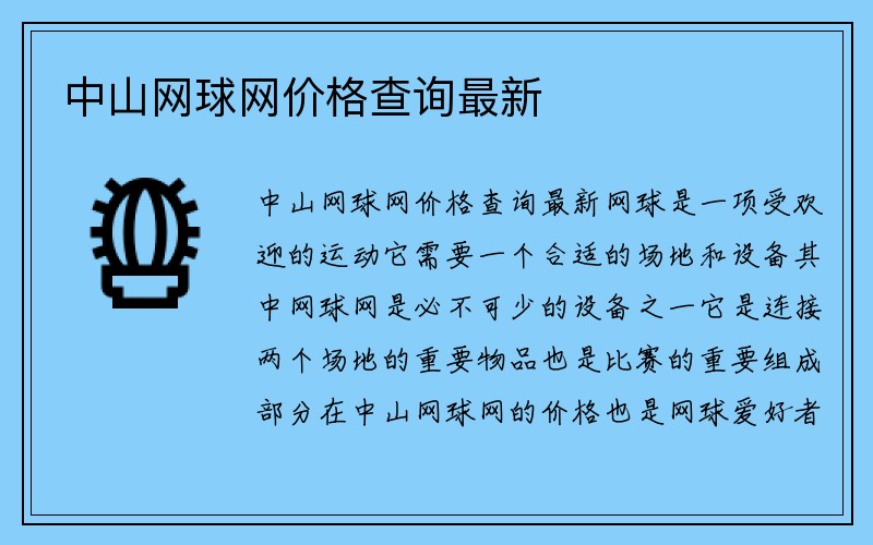 中山网球网价格查询最新