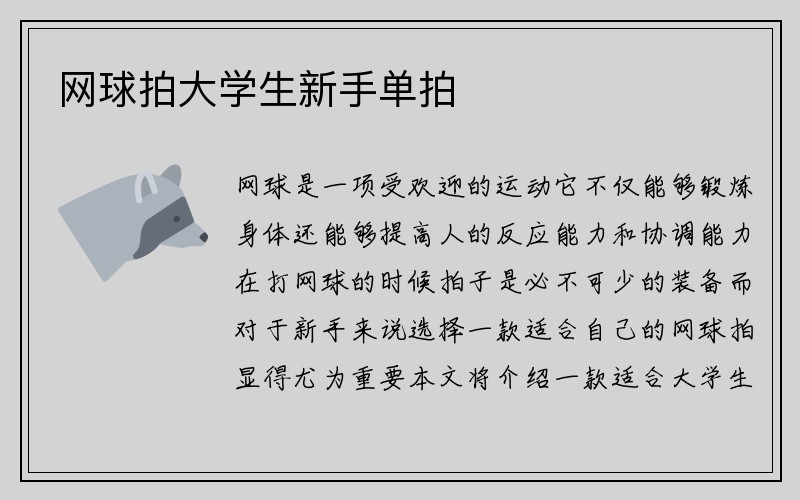 网球拍大学生新手单拍